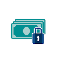 Money security icon